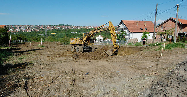 Continuing Amadeo's land preparation 01