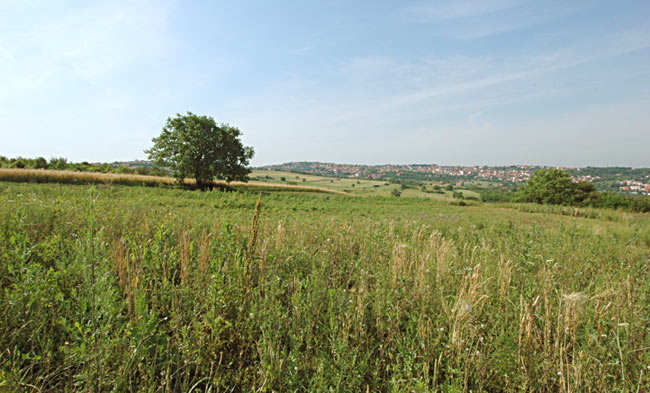 A view of Kumodraž Field (Kumodraško polje)