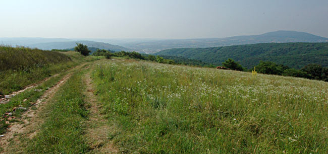 Pogled na Stepin Lug u pravcu malog brda zvanog Stražarska kosa